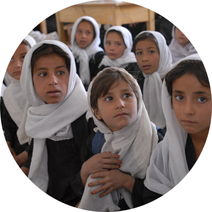 ddos压力测试网页端